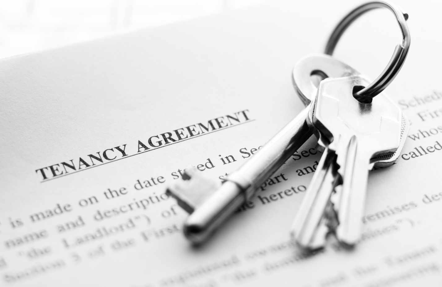 help manage your properties using Pyramis